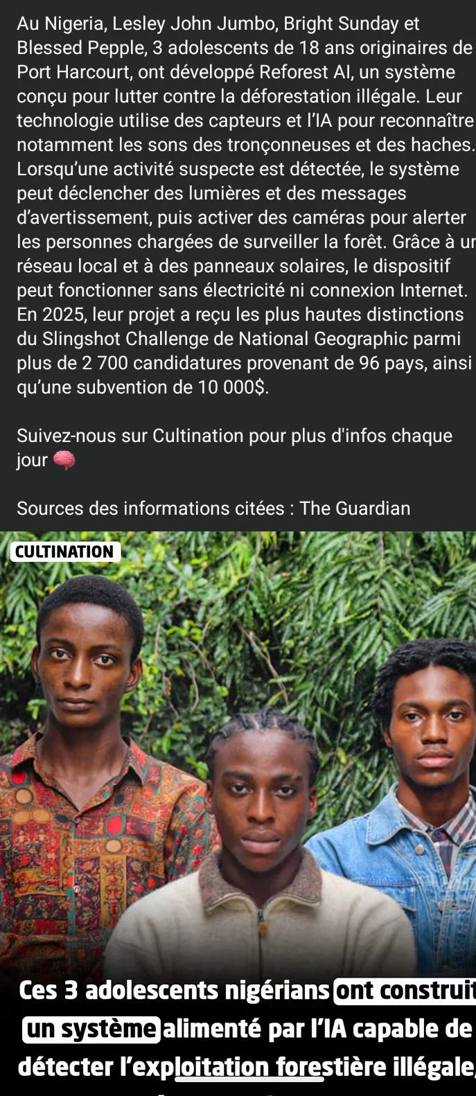 galerie image