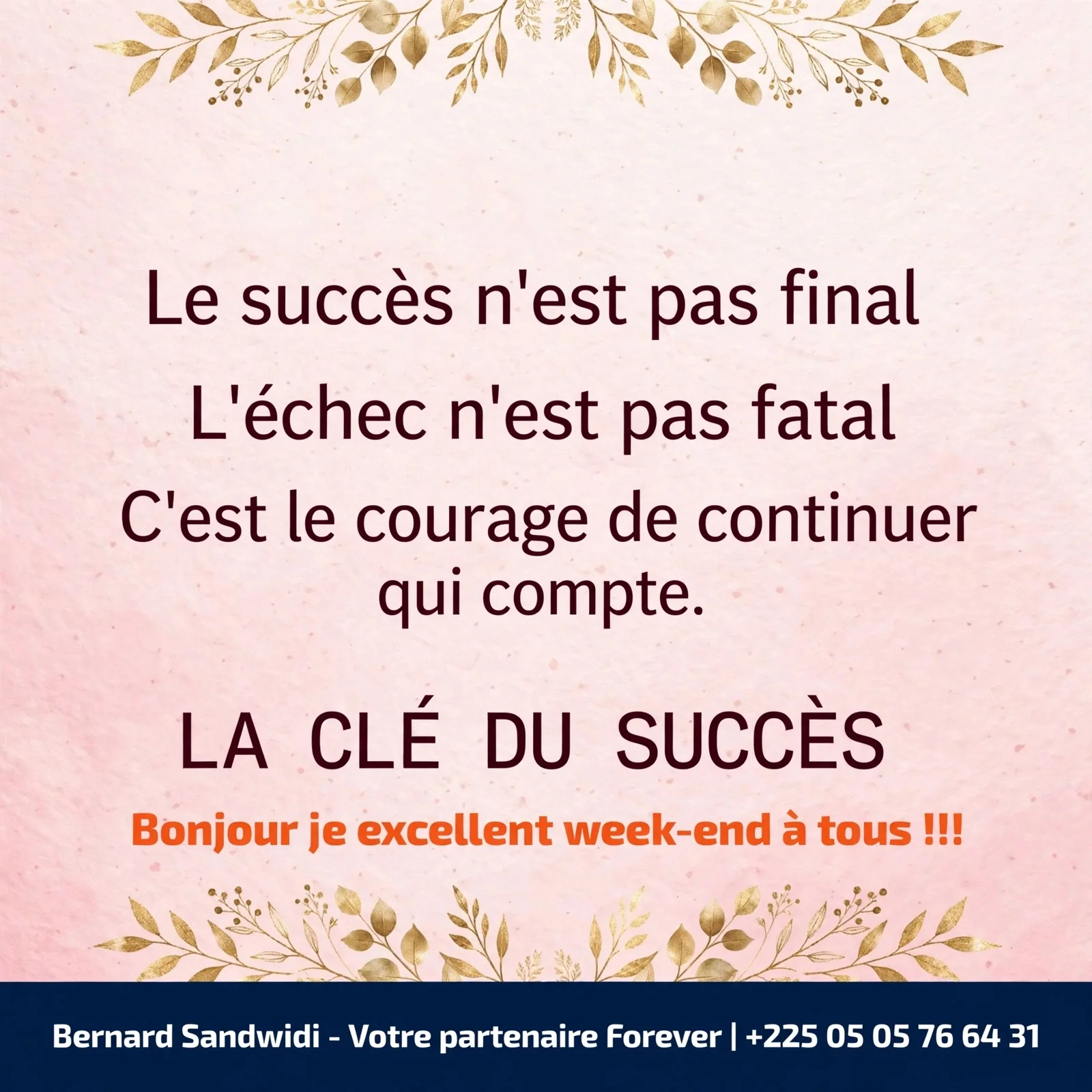 galerie image